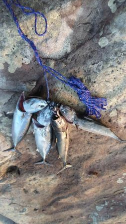 地元最高です！