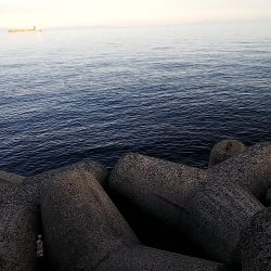 ツバスはどこ？