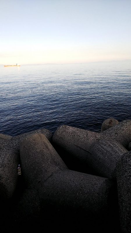 ツバスはどこ？