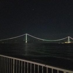 大サバ狙いのはすが…