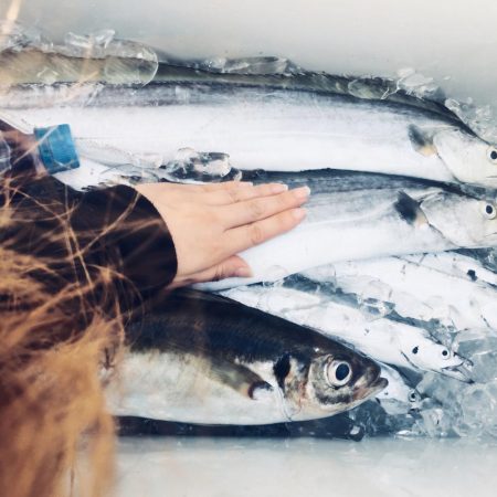 志布志沖堤防太刀魚