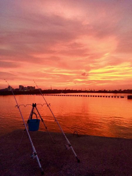 アナゴ釣れてます(^｡^)