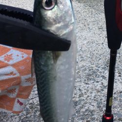 友人とライトゲーム