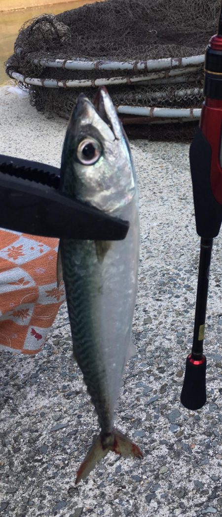 友人とライトゲーム