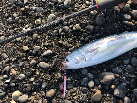 周りがほぼ釣れていない中無双爆釣タイム