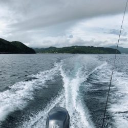 鳴門沖でレンタルボートタイラバ