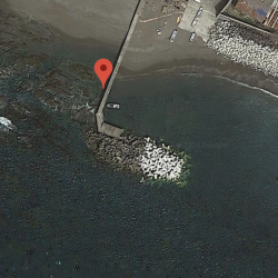 青物の代わりに