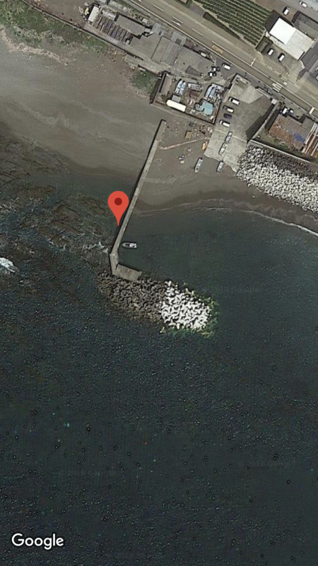 青物の代わりに