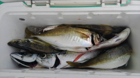 泉州丸さんで五目