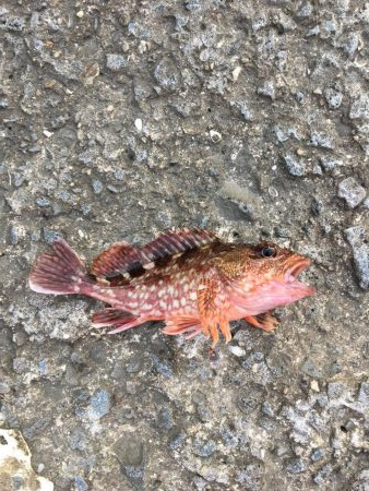 またまた仕事終わりに