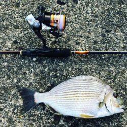 ライトタックル落とし込み