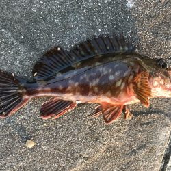 出勤前に。part14