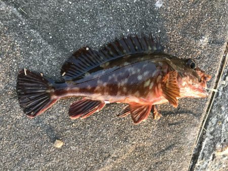 出勤前に。part14