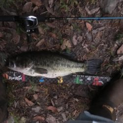 ラバージグで50UP