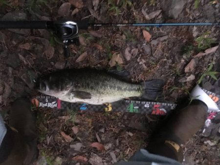 ラバージグで50UP