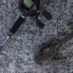 数も型もイマイチ