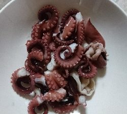 今年のタコはいつまでもたっても新子サイズしかつれてません❗何で？