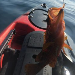 カヤックフィッシング