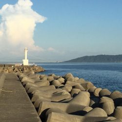 やったぜ‼️ベイビーサワラgetだぜ！