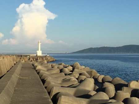 やったぜ‼️ベイビーサワラgetだぜ！