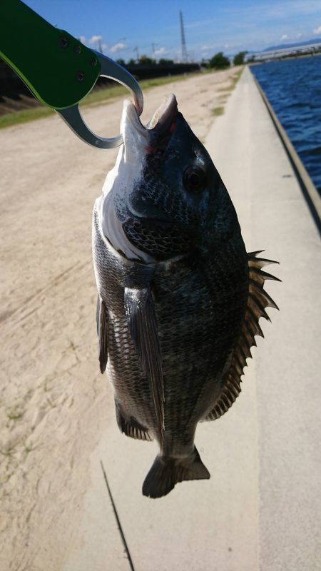 武庫川デイチニング