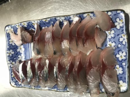 ベイトと鳥と大サバ