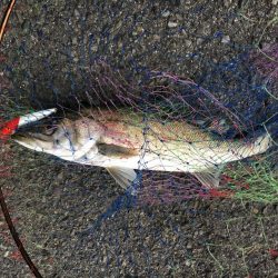 鳴門の激流ポイントにて