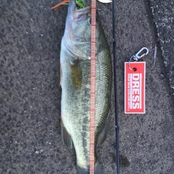 3連続ヒットで1キャッチ(汗)