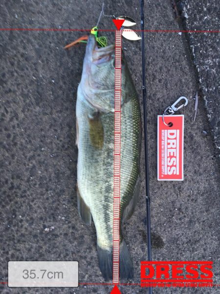 3連続ヒットで1キャッチ(汗)