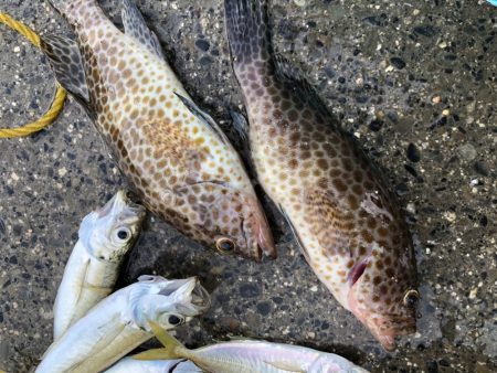 曇りの中釣行！！