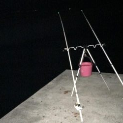 アナゴ  たくさん釣れました〜