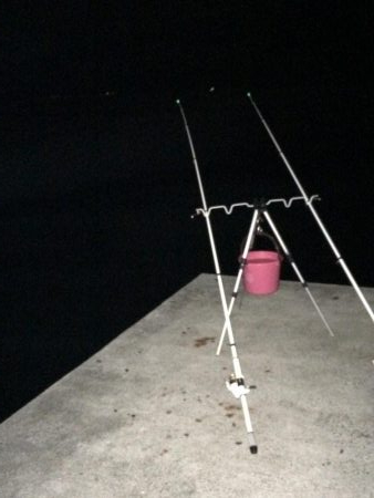 アナゴ  たくさん釣れました〜