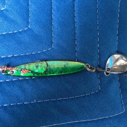 キジハタ&連子鯛 ！