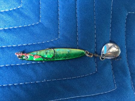 キジハタ&連子鯛 ！