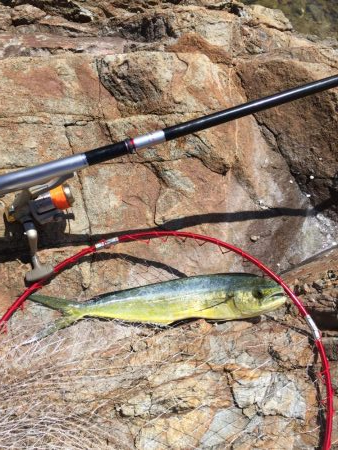 磯から真夏のフカセ釣り