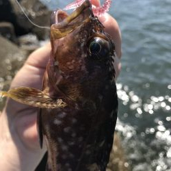 穴釣りデーゲーム