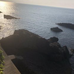 ようやくカサゴ