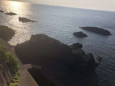 ようやくカサゴ