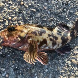 出勤前に。part13