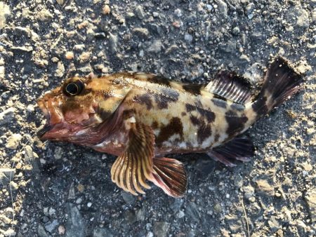 出勤前に。part13