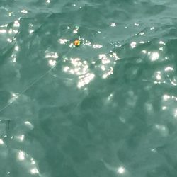 猛暑の中(^^;;  飲ませ釣り‼️