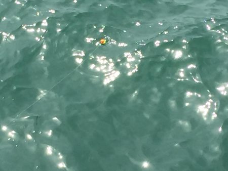 猛暑の中(^^;;  飲ませ釣り‼️