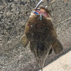 ライトショアスロー