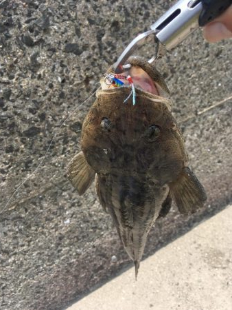 ライトショアスロー