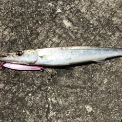 ショアジギング