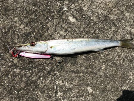 ショアジギング