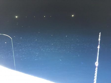 イカは難しいなぁ