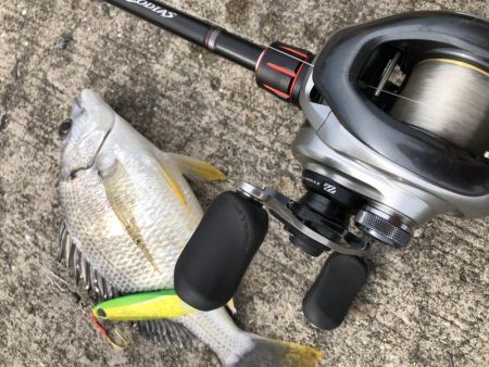 夏だー！岸壁ジギングだー！