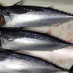 台風前にラスト試合