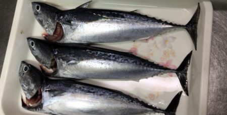 台風前にラスト試合